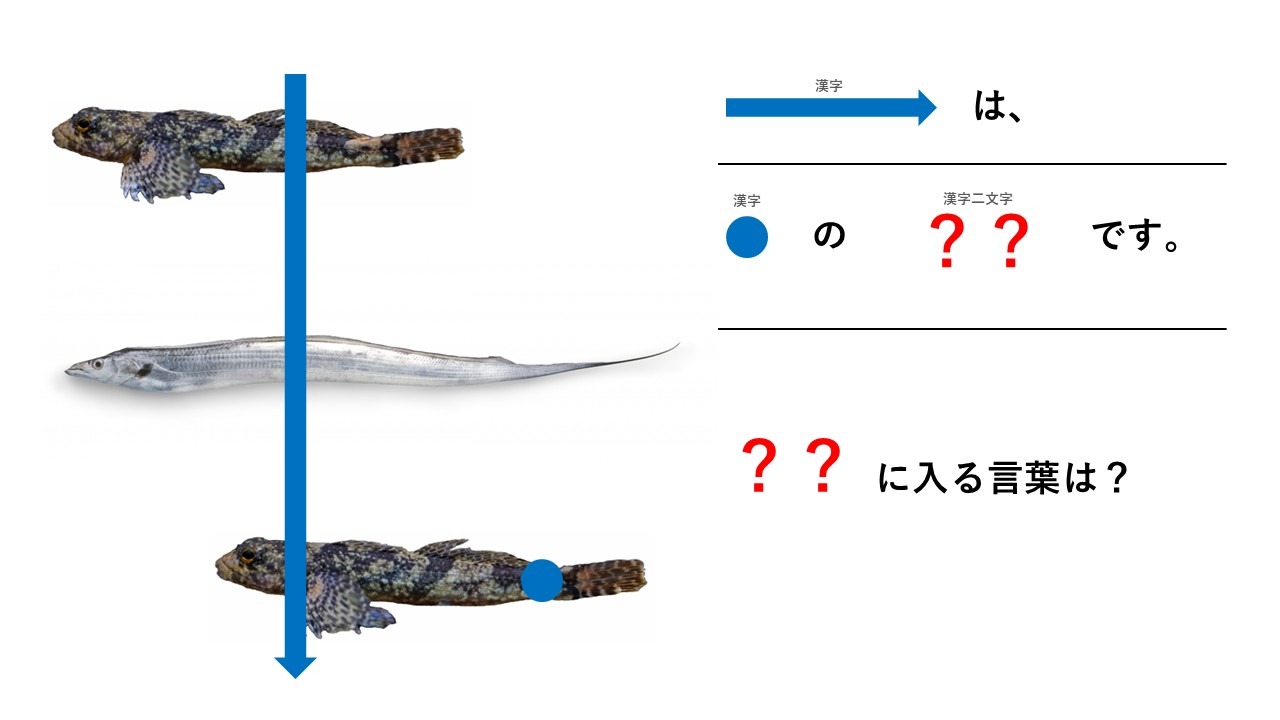 謎：？？に入る言葉は